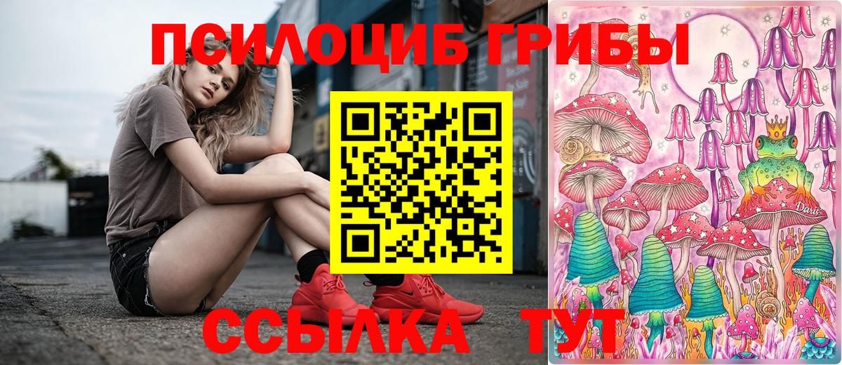 Псилоцибиновые грибы мухоморы  Галлюциногенные грибы прущие грибы  Нарткала  Вход с VPN 