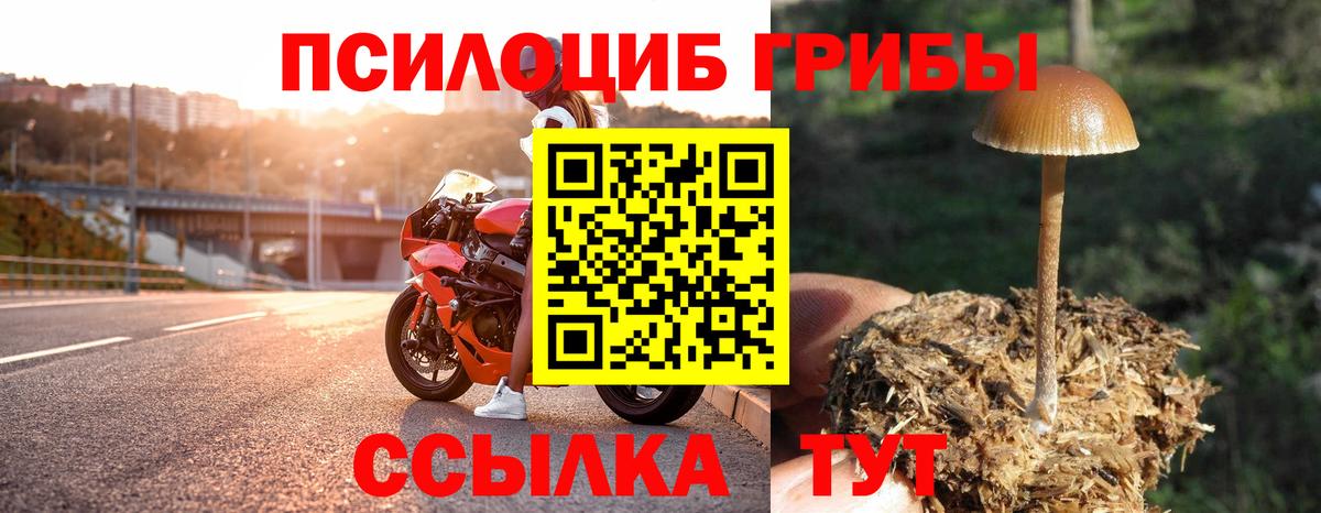 Псилоцибиновые грибы Magic Shrooms Нарткала